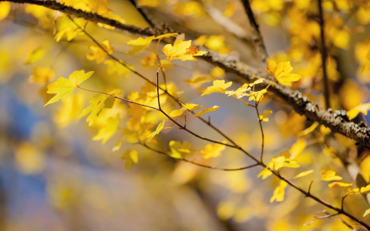 589361 (a): :2560x1600
